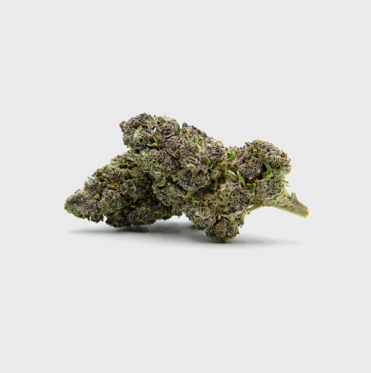 Blue Zushi 55% Superior H3