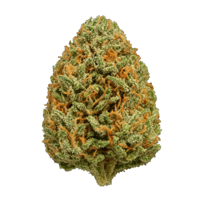 Amnesia Bomb