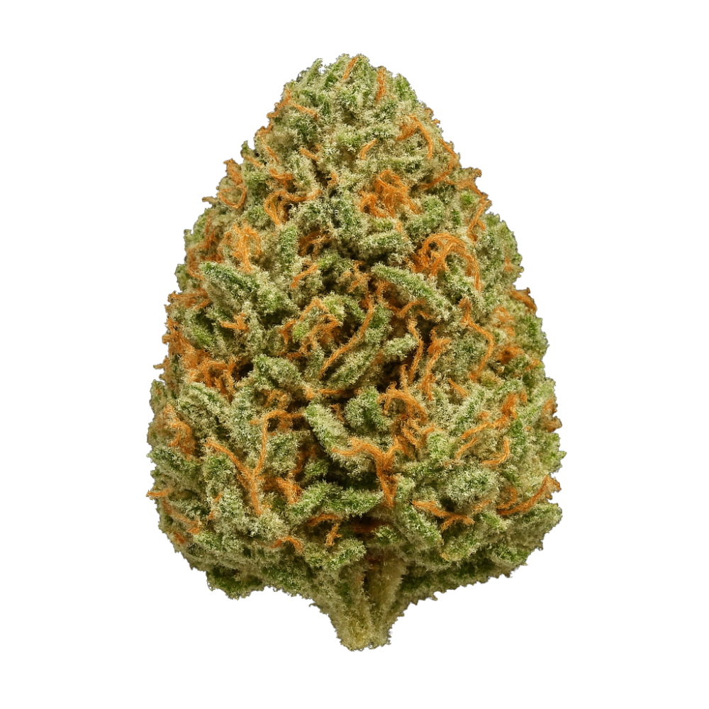 Amnesia Bomb