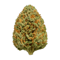 Amnesia Bomb